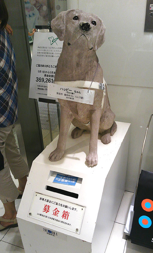盲導犬募金箱