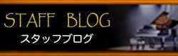 スタッフブログ
